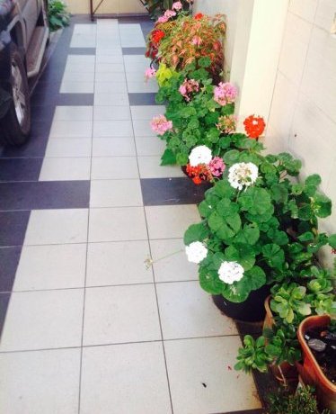Гостиница Guest House Slavutich Сочи