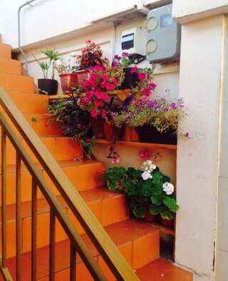 Гостиница Guest House Slavutich Сочи Номер "Стандарт"-34
